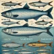 Herring vs Sardines