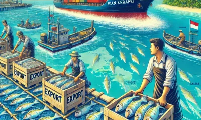 pasar ekspor ikan kerapu