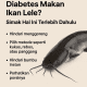 Bolehkah Penderita Diabetes Makan Ikan Lele
