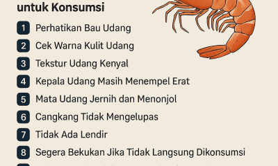 Tips Memilih Udang konsumsi