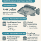Usia Panen Ikan Nila