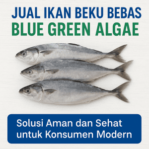 Jual Ikan Beku Bebas Blue Green Algae