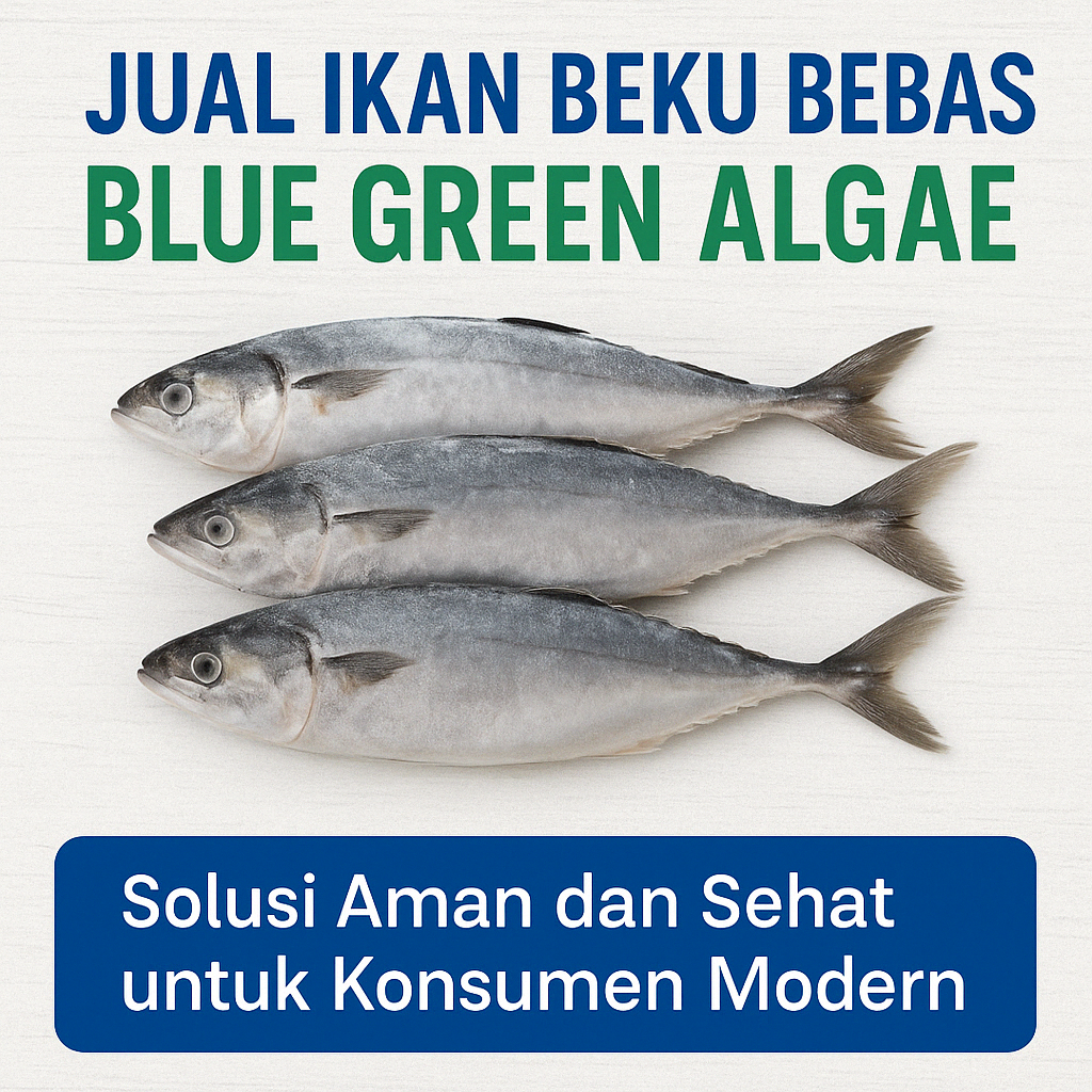 Jual Ikan Beku Bebas Blue Green Algae