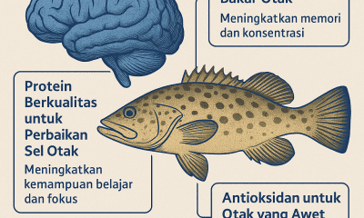 Manfaat ikan kerapu