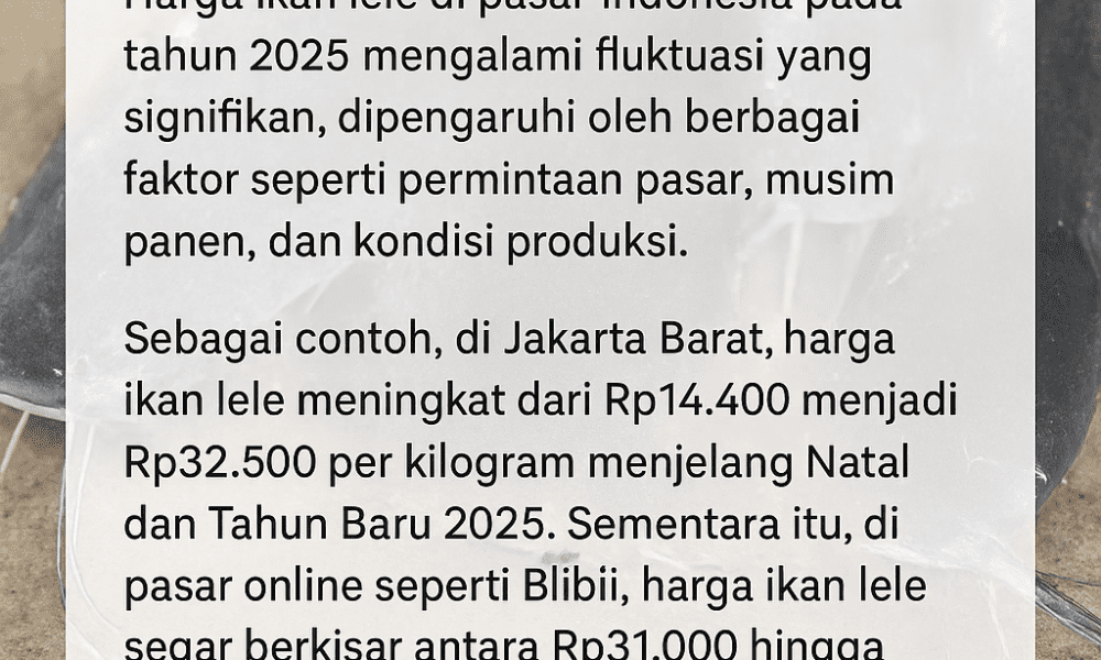 harga ikan lele di pasar