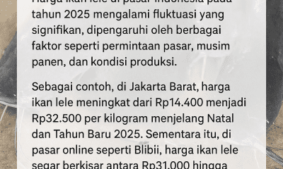 harga ikan lele di pasar