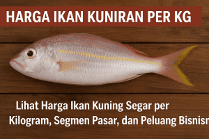Harga Ikan Kuniran per Kg