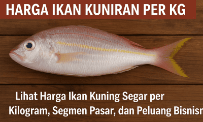 Harga Ikan Kuniran per Kg