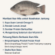 Apakah ikan nila baik untuk jantung