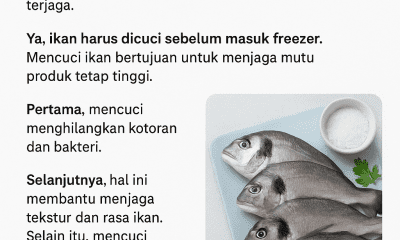 Apakah Ikan Harus Dicuci Sebelum Masuk Freezer