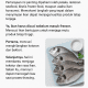 Apakah Ikan Harus Dicuci Sebelum Masuk Freezer