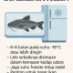 berapa lama lele dalam kulkas