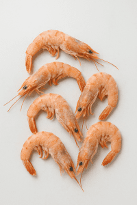 harga tenggiri filet beku