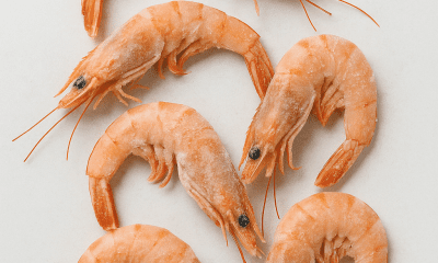 harga tenggiri filet beku