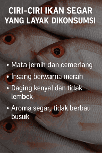 ciri ciri ikan segar