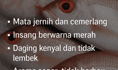 ciri ciri ikan segar