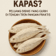 Ikan Asin Kapas
