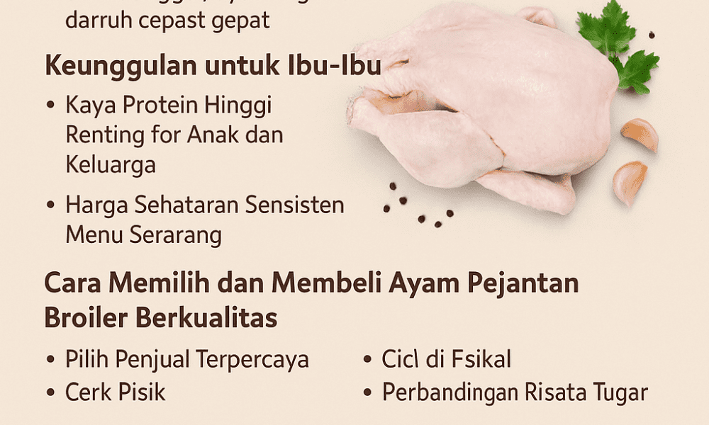 Ayam Pejantan Broiler