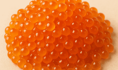 Resep Makanan dari Telur Ikan