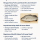 ikan kakap putih