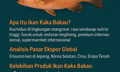 kakap bakau
