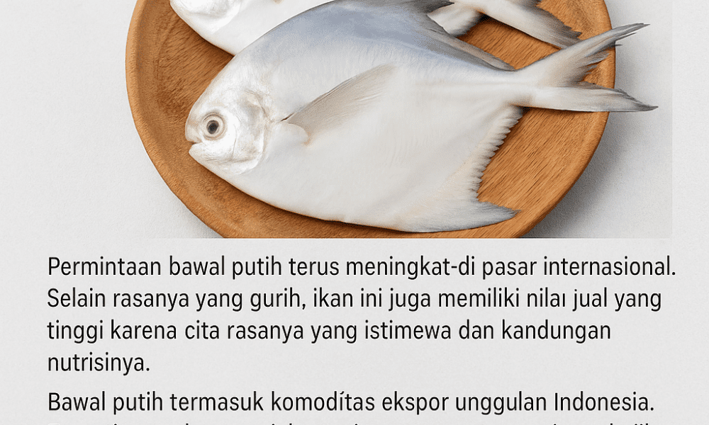 Bawal Putih
