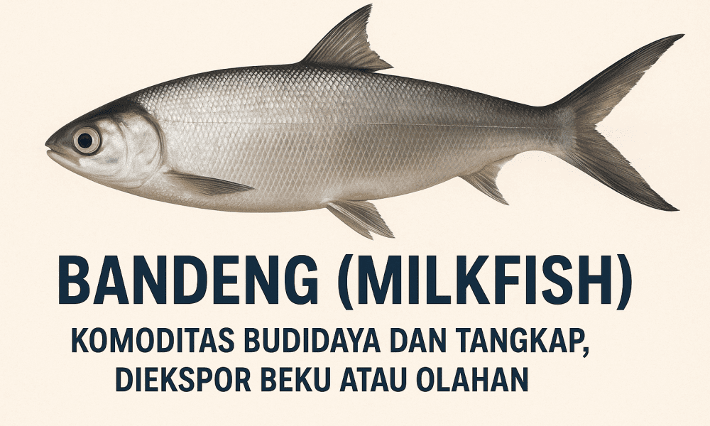 bandeng milkfish