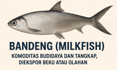 bandeng milkfish