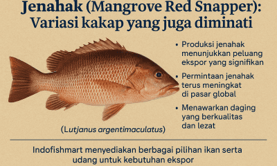 Jenahak (Mangrove Red Snapper)
