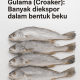 Gulama (Croaker)