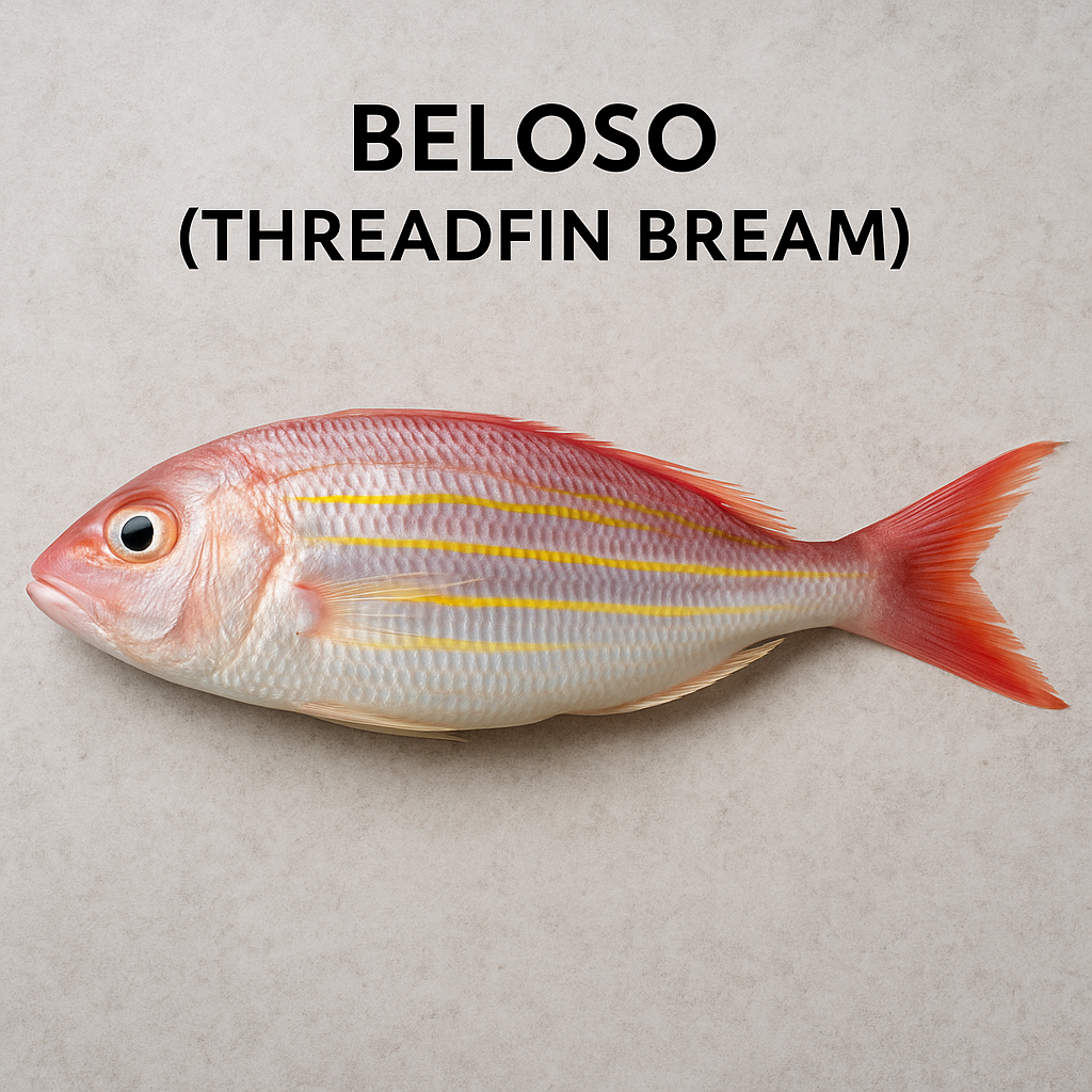 Beloso (Threadfin Bream)