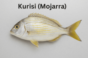 Kurisi (Mojarra)