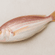 Bambangan (Threadfin Bream)