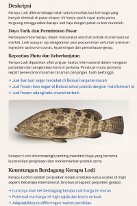 kerapu lodi