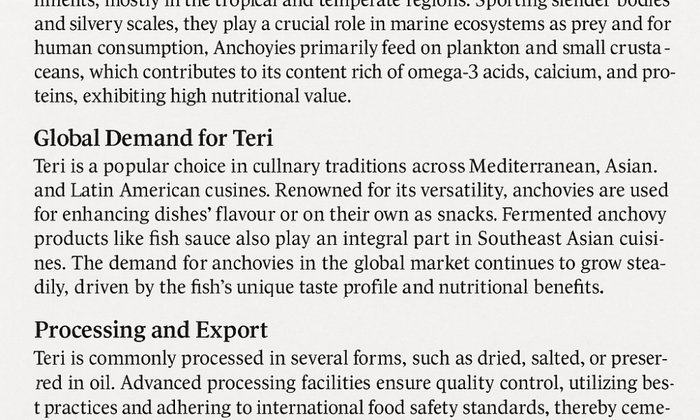 Teri (Anchovy)