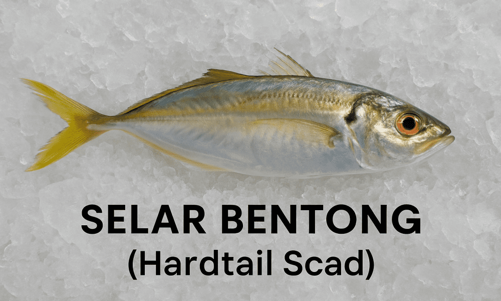Selar Bentong