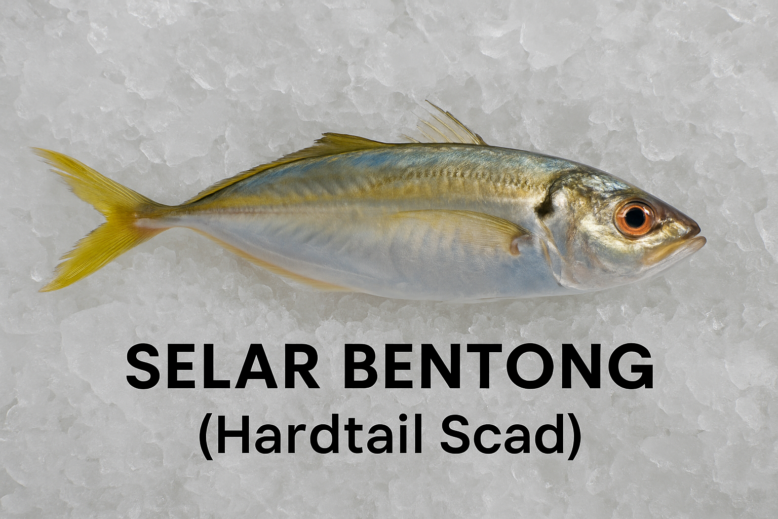 Selar Bentong