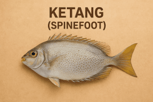 Ketang (Spinefoot)