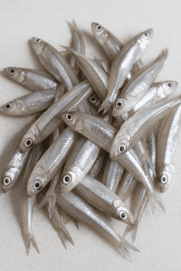 Ikan Teri Basah