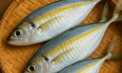 ikan selar