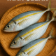 ikan selar
