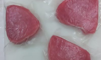 Importir Tuna Steak
