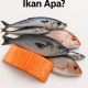 Protein Tertinggi Ikan Apa