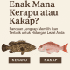 kakap vs kerapu
