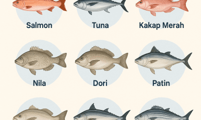 Ikan Enak Apa Saja