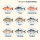 Ikan Enak Apa Saja