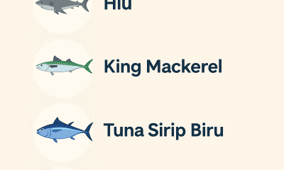 Ikan Tinggi Merkuri Apa Saja