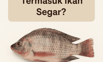 Apakah Ikan Nila Termasuk Ikan Segar