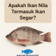 Apakah Ikan Nila Termasuk Ikan Segar
