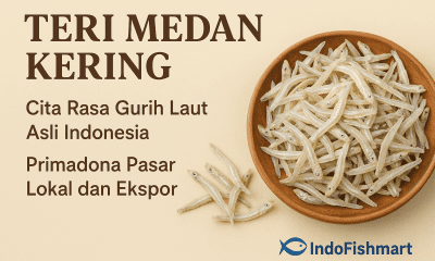 Teri Medan Kering